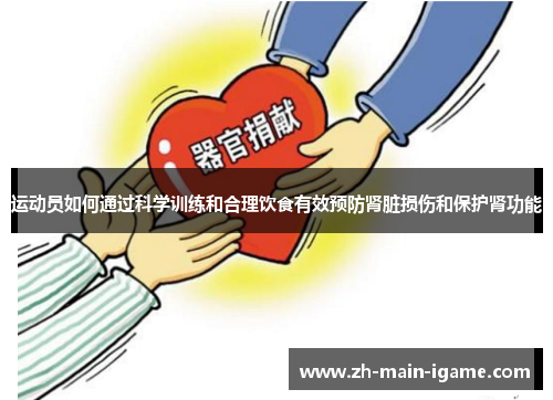 运动员如何通过科学训练和合理饮食有效预防肾脏损伤和保护肾功能