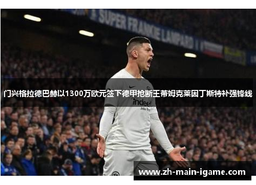 门兴格拉德巴赫以1300万欧元签下德甲抢断王蒂姆克莱因丁斯特补强锋线